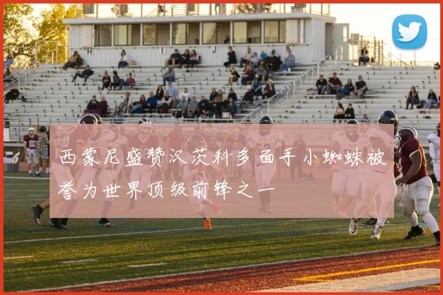 西蒙尼盛赞汉茨科多面手小蜘蛛被誉为世界顶级前锋之一